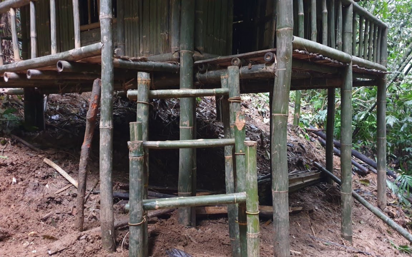 电脑搭建梯子,电脑搭建梯子怎么弄