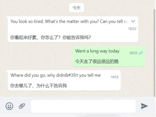 whatsapp怎么翻译成英文,whatsapp输入英文转换成中文
