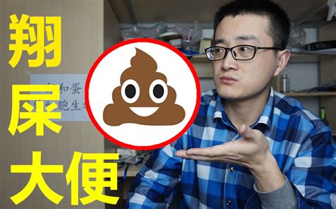 屎币翻了多少倍,屎币能涨到01吗
