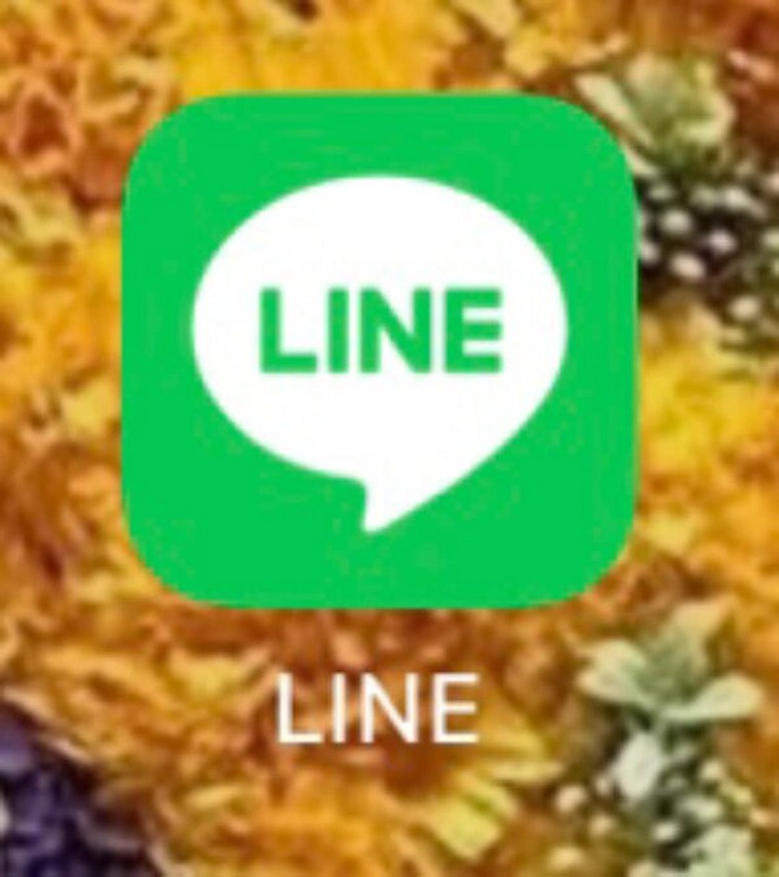 line交友软件,line的聊天软件叫什么