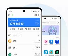 tokenpoket官网,国际抖音tiktok官网入口