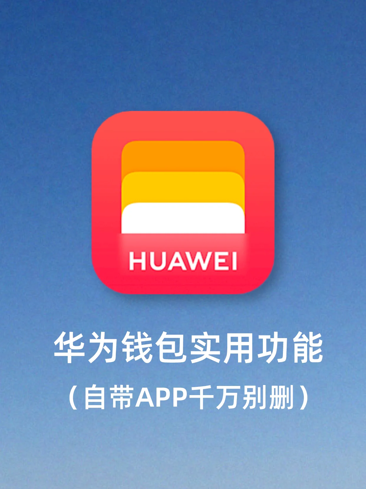 波币钱包app官方,波币钱包app官方客服