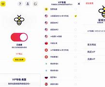 云梯vp加速器蜜蜂,每天试用一小时vp加速器猎豹