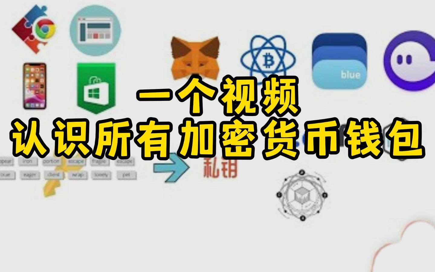 十大冷钱包排行榜,十大冷钱包排行榜下载