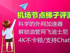 梯子网官网,梯子官网地址