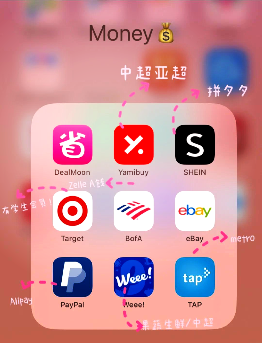 免费梯子加速器手机,免费梯子加速器安装包