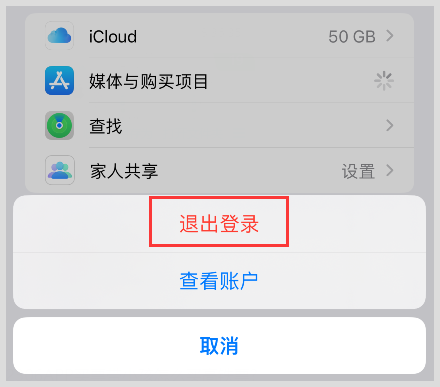 skype苹果如何下载,skype苹果手机版下载办法