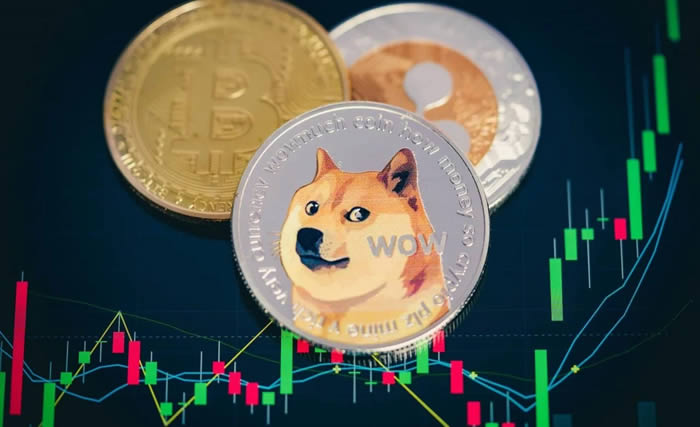 狗狗币app下载安装,狗狗币app下载2019