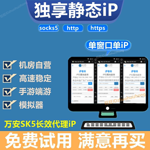 国外服务器代理ip,国外服务器代理ip和端口