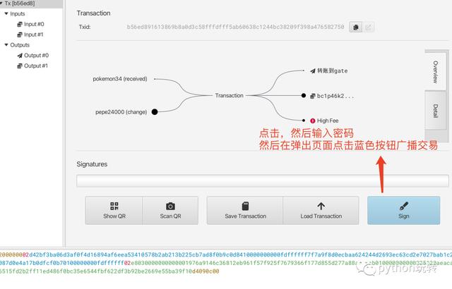 token钱包app教程,token pocket钱包教程