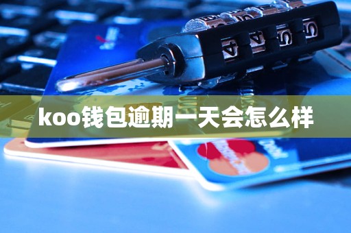 koo钱包怎么还款,koo钱包怎么提前还款