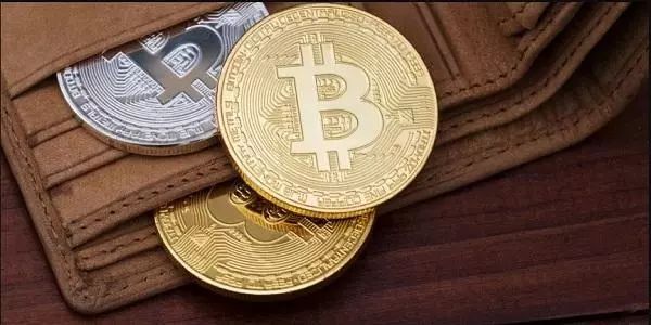 加密货币钱包排名,加密货币钱包排名前十