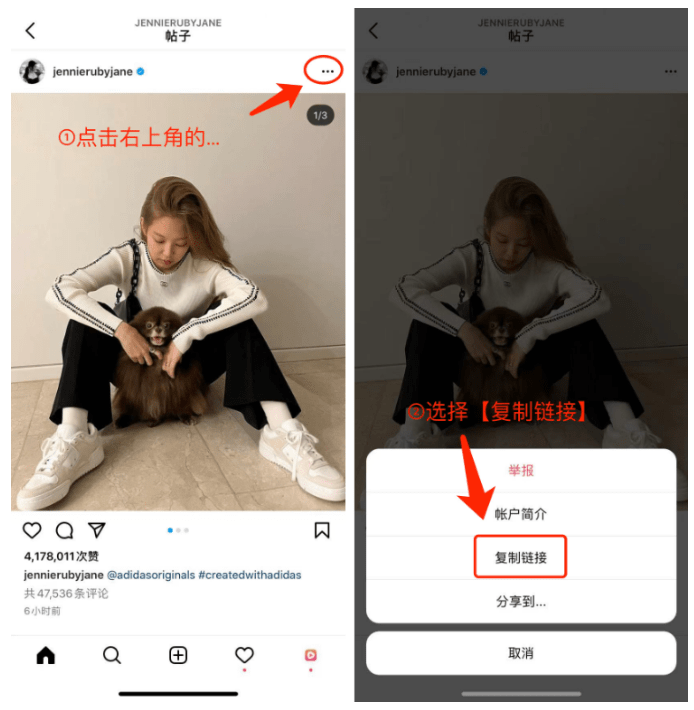 国内怎么用ins软件,国内怎么用ins软件下载