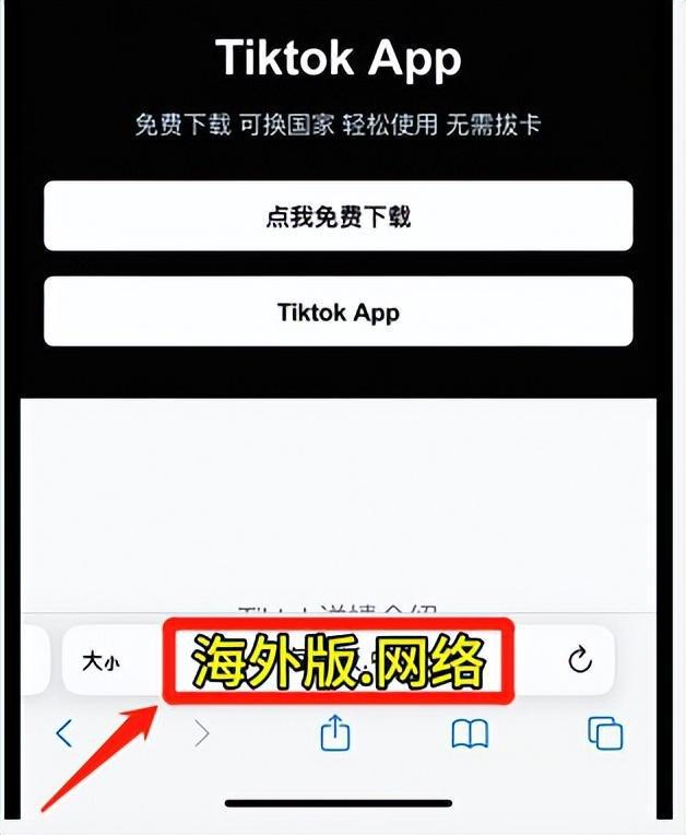tiktok官网下载入口,tiktok 官网入口免费