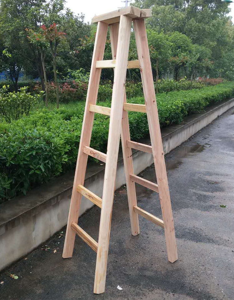 梯子pc版,好用的pc梯子软件