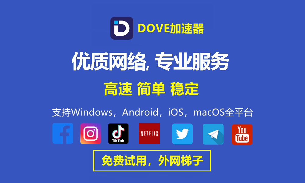 手机vp免费梯子app的简单介绍