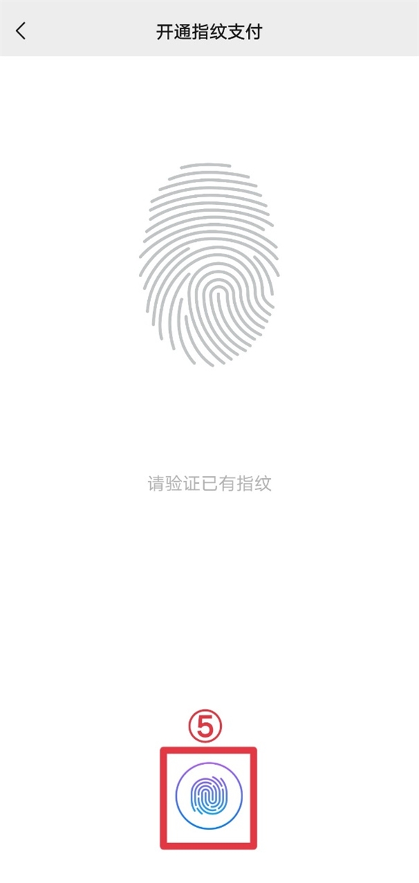 小狐狸钱包怎么使用指纹支付,小狐狸钱包怎么删除多余的账户