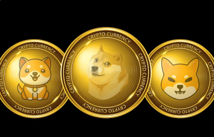 关于pepe币是比特币吗的信息