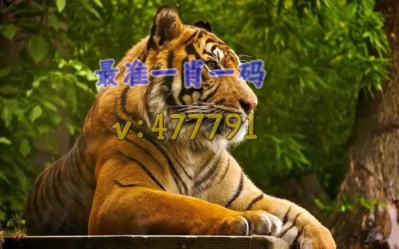 今期生肖七字开猜最准确一肖动物,今期生肖七字开,买八一定能发财,四四个人能中特