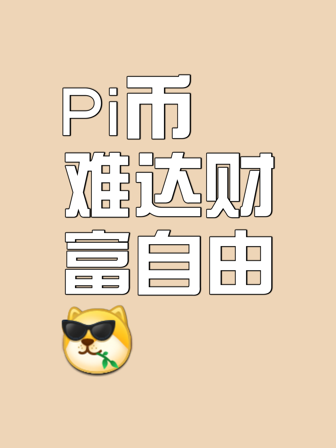 pi币的介绍,pi币是干啥的