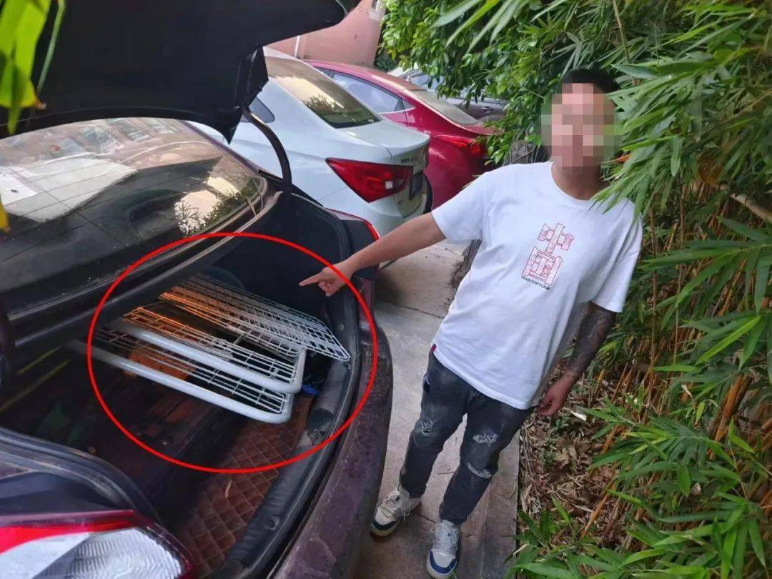警方查了我三年前的纸飞机,当年的纸飞机现在回到我手里