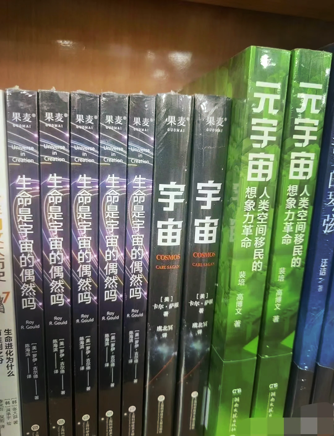 元宇宙骗局,元宇宙骗局可以报警吗