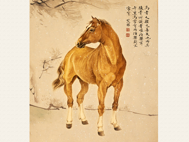 六部玄机码中码是什么生肖指马吗,六部玄机码中码天下兄弟归一物猜生肖
