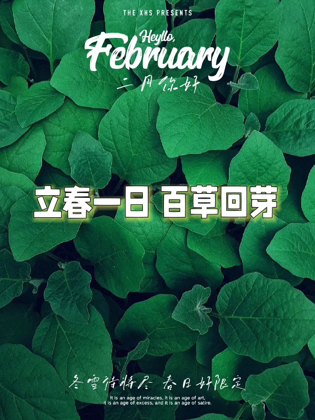 立春是最佳答案,立春最佳答案什么动物