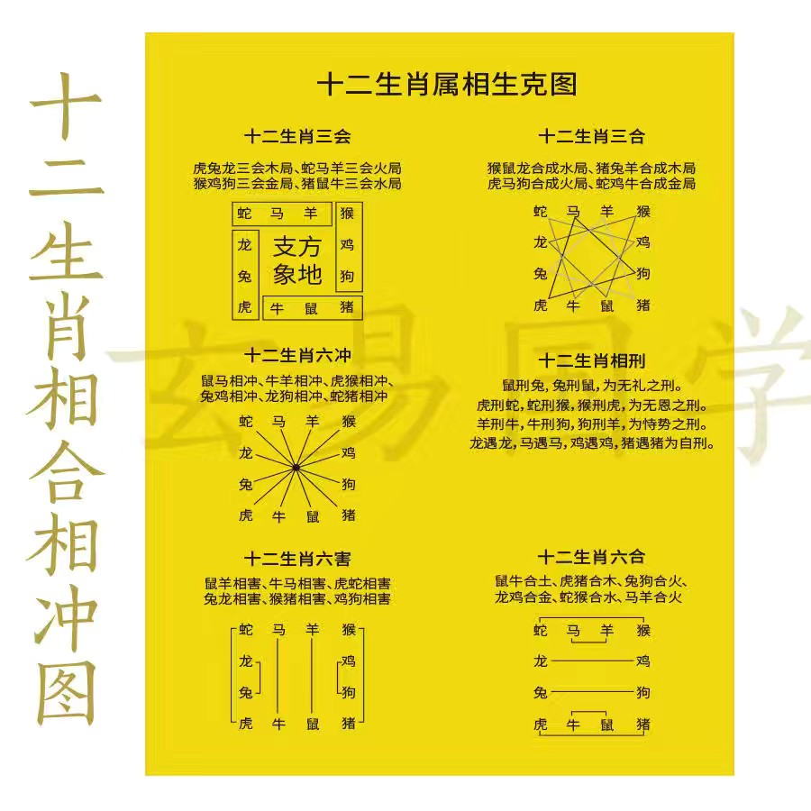 6合是什么数字和生肖,6合是什么数字和生肖答案