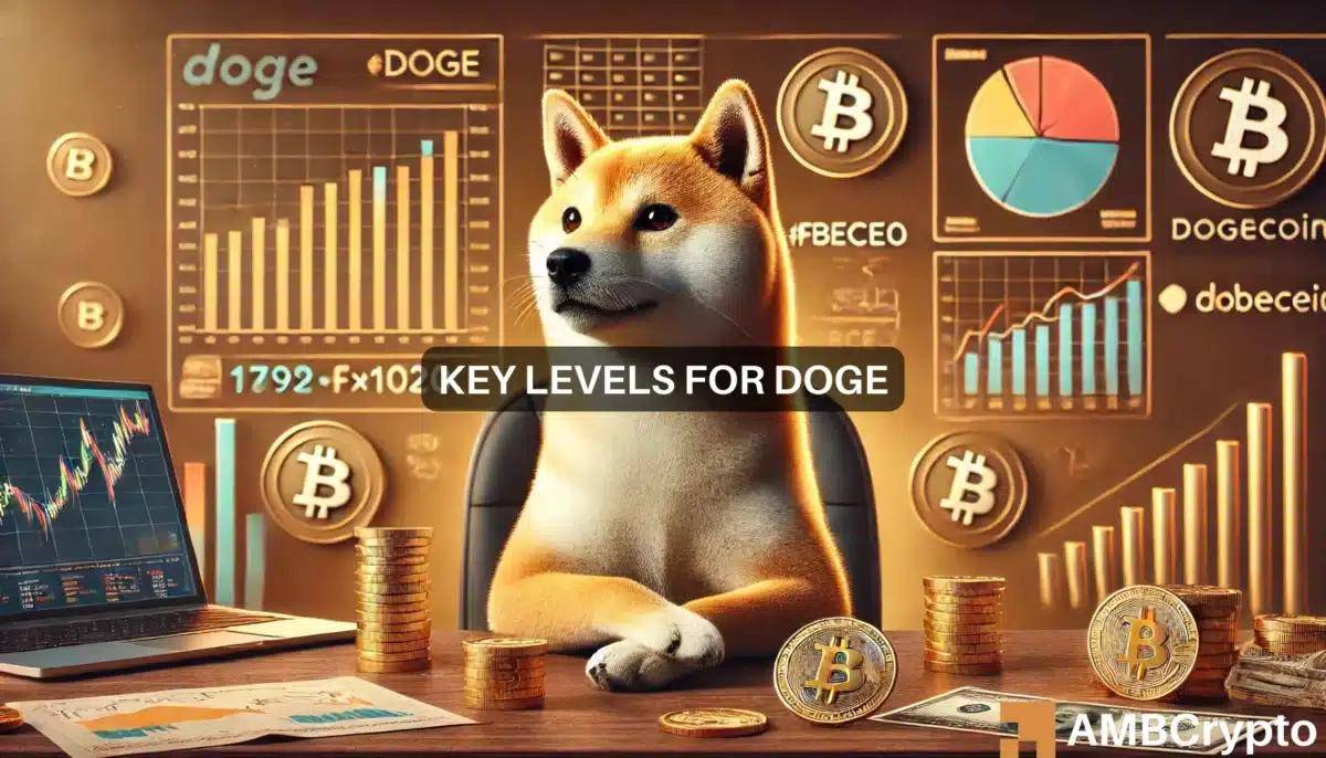 狗狗币什么时候暴涨的,狗狗币什么时候开始涨的