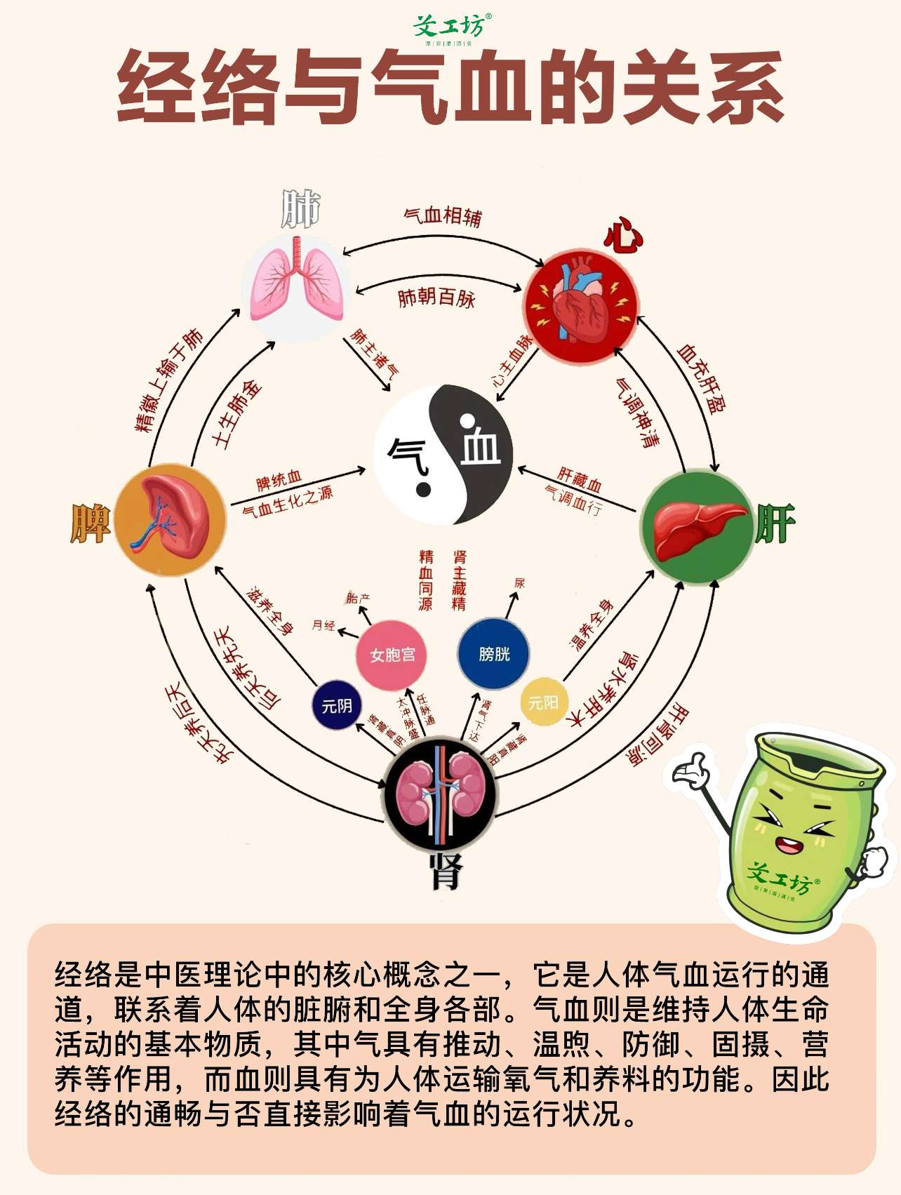 经络不通补气血能补上来吗,经络不通补气血能补上来吗女性