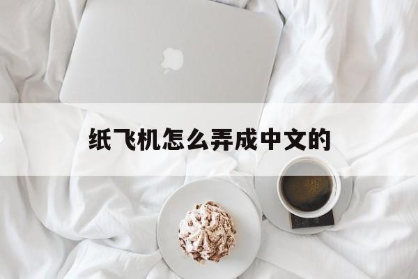 纸飞机怎么弄成中文的,纸飞机怎么弄中文要输入什么