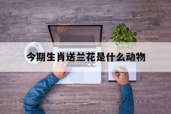 今期生肖送兰花是什么动物,今期生肖送兰花,土木之数看好它