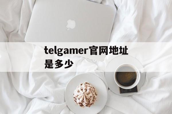 telgamer官网地址是多少,steamgalgame补丁网站