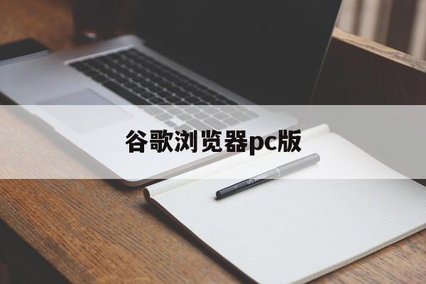 谷歌浏览器pc版,谷歌浏览器pc版怎么设置才能上网