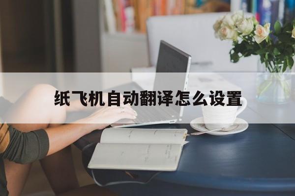 纸飞机自动翻译怎么设置,纸飞机自动翻译怎么设置的