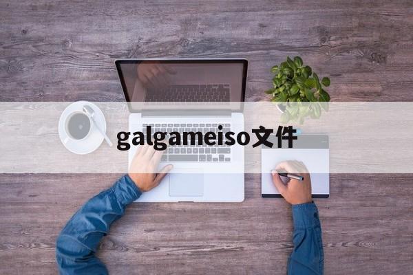 galgameiso文件,galgame的iso文件怎么打开